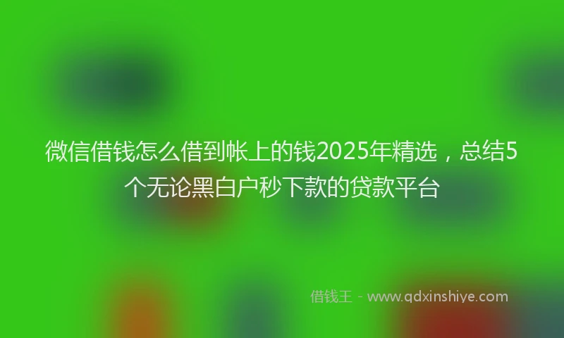 微信借钱怎么借到帐上的钱2025年精选，总结5个无论黑白户秒下款的贷款平台