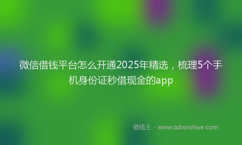 微信借钱平台怎么开通2025年精选，梳理5个手机身份证秒借现金的app