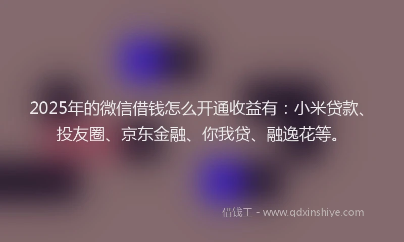 2025年的微信借钱怎么开通收益有：小米贷款、投友圈、京东金融、你我贷、融逸花等。