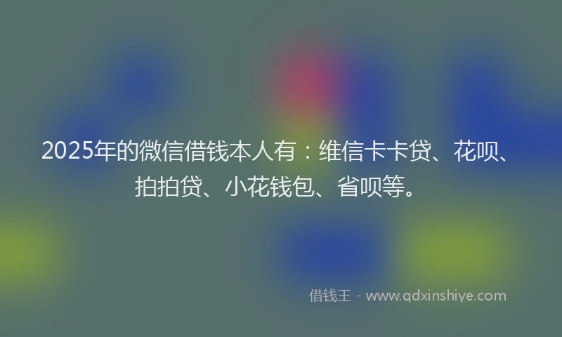 2025年的微信借钱本人有：维信卡卡贷、花呗、拍拍贷、小花钱包、省呗等。