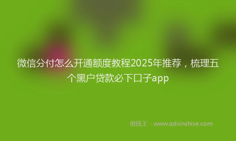 微信分付怎么开通额度教程2025年推荐，梳理五个黑户贷款必下口子app
