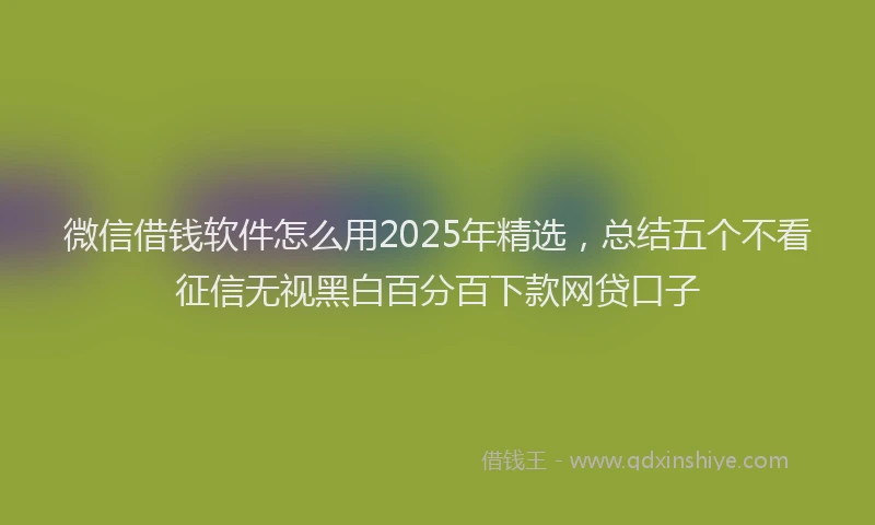 微信借钱软件怎么用2025年精选，总结五个不看征信无视黑白百分百下款网贷口子