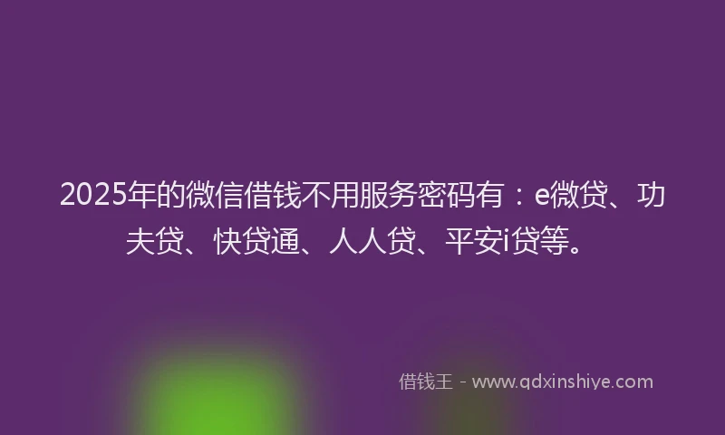 2025年的微信借钱不用服务密码有：e微贷、功夫贷、快贷通、人人贷、平安i贷等。