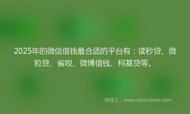 2025年的微信借钱最合适的平台有：读秒贷、微粒贷、省呗、微博借钱、柯基贷等。