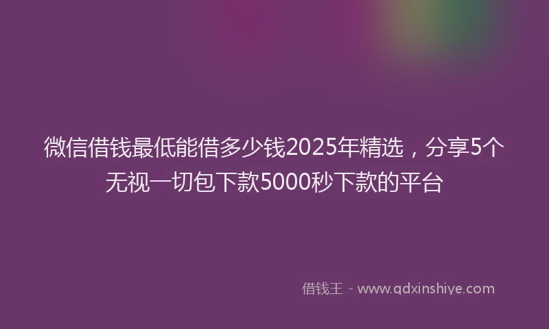 微信借钱最低能借多少钱2025年精选，分享5个无视一切包下款5000秒下款的平台
