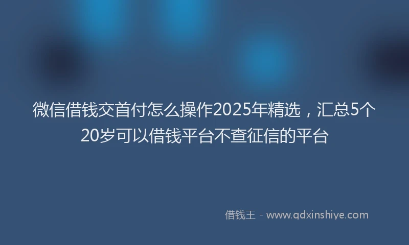 微信借钱交首付怎么操作2025年精选，汇总5个20岁可以借钱平台不查征信的平台