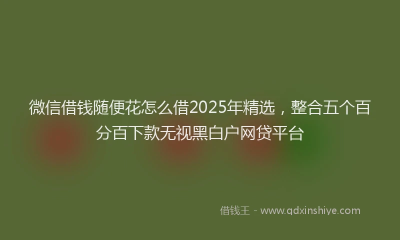 微信借钱随便花怎么借2025年精选，整合五个百分百下款无视黑白户网贷平台