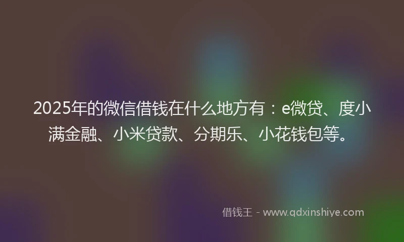 2025年的微信借钱在什么地方有：e微贷、度小满金融、小米贷款、分期乐、小花钱包等。