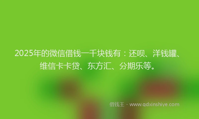 2025年的微信借钱一千块钱有：还呗、洋钱罐、维信卡卡贷、东方汇、分期乐等。