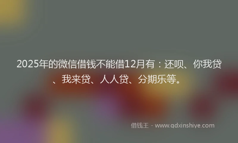 2025年的微信借钱不能借12月有：还呗、你我贷、我来贷、人人贷、分期乐等。