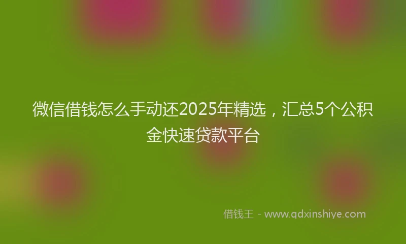 微信借钱怎么手动还2025年精选，汇总5个公积金快速贷款平台