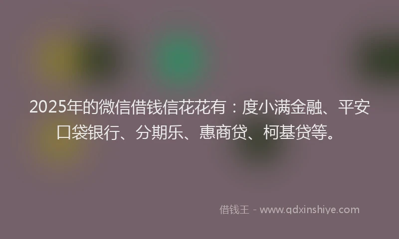2025年的微信借钱信花花有：度小满金融、平安口袋银行、分期乐、惠商贷、柯基贷等。