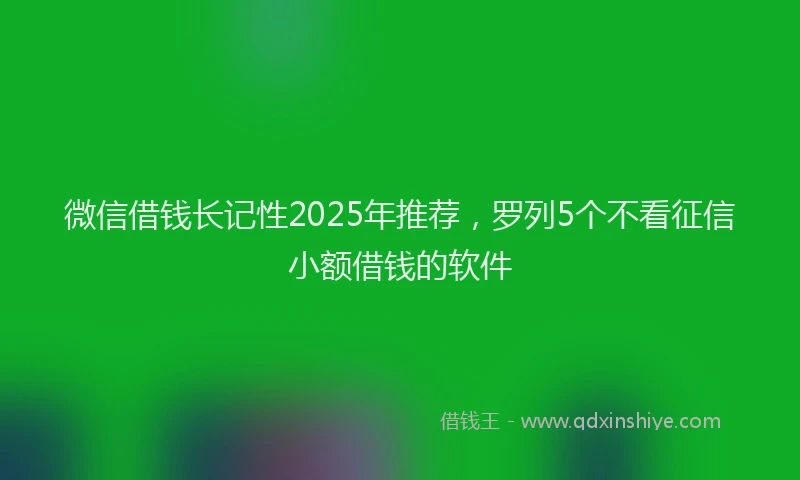 微信借钱长记性2025年推荐，罗列5个不看征信小额借钱的软件