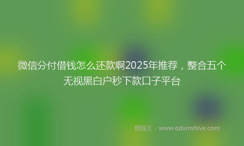 微信分付借钱怎么还款啊2025年推荐，整合五个无视黑白户秒下款口子平台