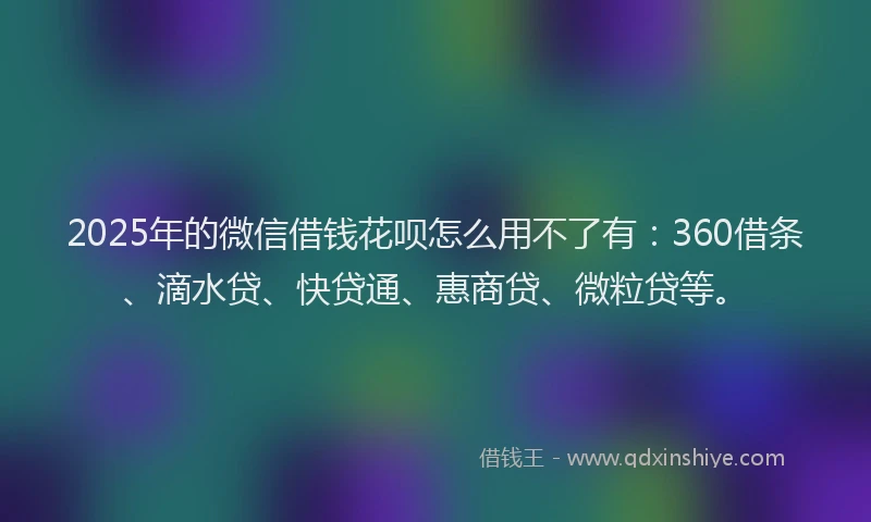 2025年的微信借钱花呗怎么用不了有：360借条、滴水贷、快贷通、惠商贷、微粒贷等。