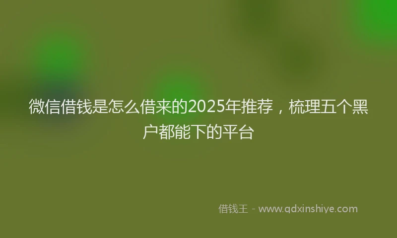 微信借钱是怎么借来的2025年推荐，梳理五个黑户都能下的平台