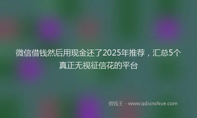 微信借钱然后用现金还了2025年推荐，汇总5个真正无视征信花的平台