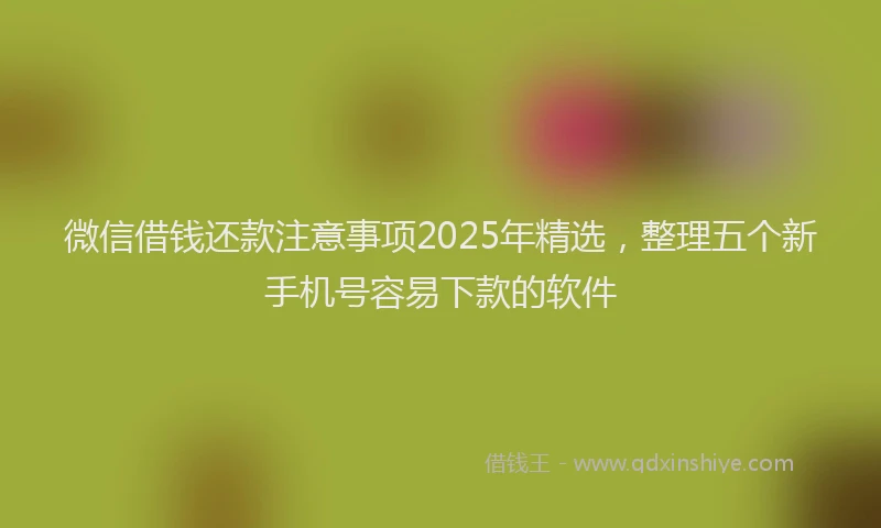 微信借钱还款注意事项2025年精选，整理五个新手机号容易下款的软件