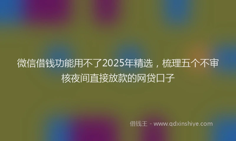 微信借钱功能用不了2025年精选，梳理五个不审核夜间直接放款的网贷口子
