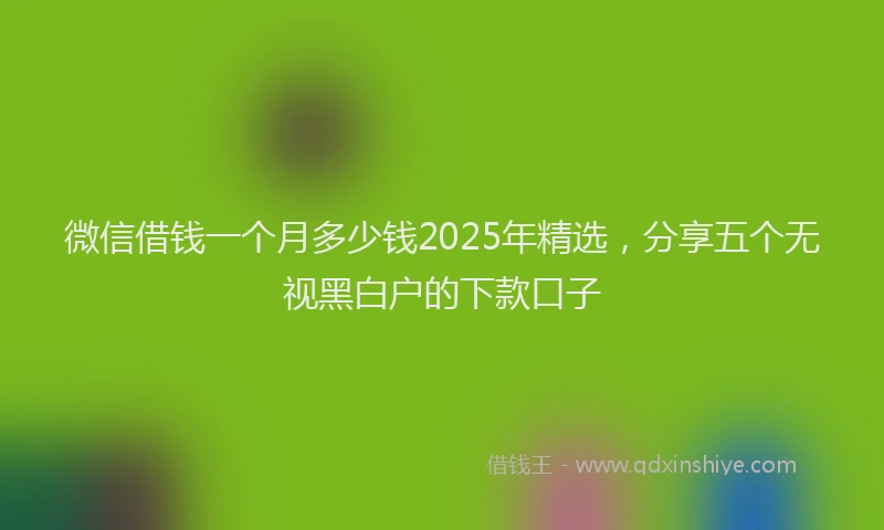 微信借钱一个月多少钱2025年精选，分享五个无视黑白户的下款口子