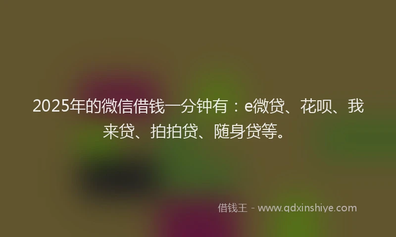 2025年的微信借钱一分钟有：e微贷、花呗、我来贷、拍拍贷、随身贷等。