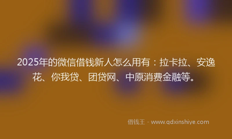 2025年的微信借钱新人怎么用有：拉卡拉、安逸花、你我贷、团贷网、中原消费金融等。