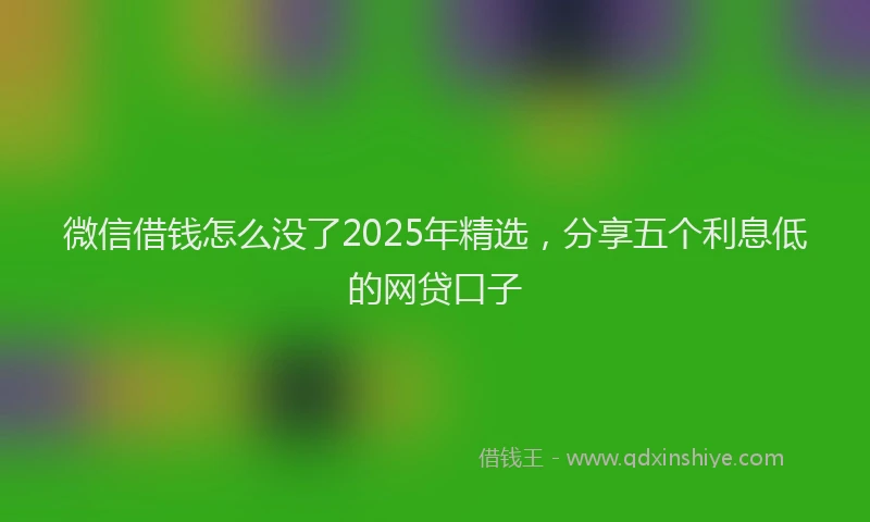 微信借钱怎么没了2025年精选，分享五个利息低的网贷口子
