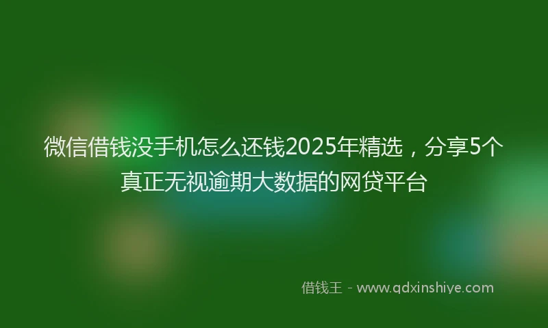 微信借钱没手机怎么还钱2025年精选，分享5个真正无视逾期大数据的网贷平台