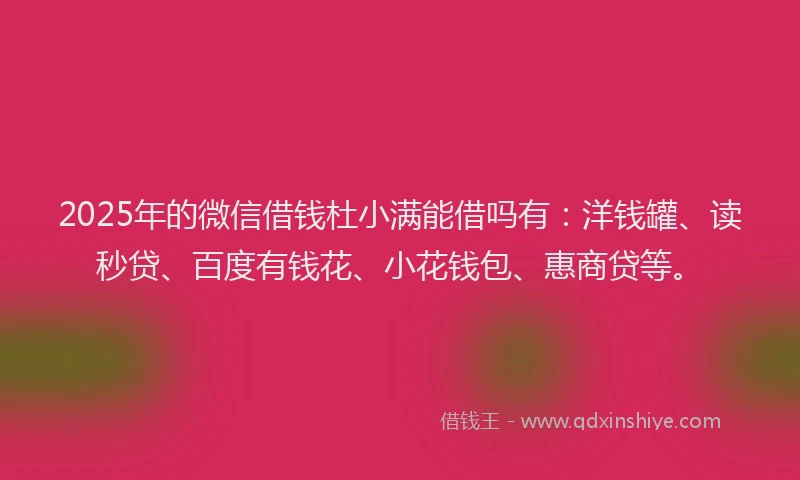2025年的微信借钱杜小满能借吗有：洋钱罐、读秒贷、百度有钱花、小花钱包、惠商贷等。