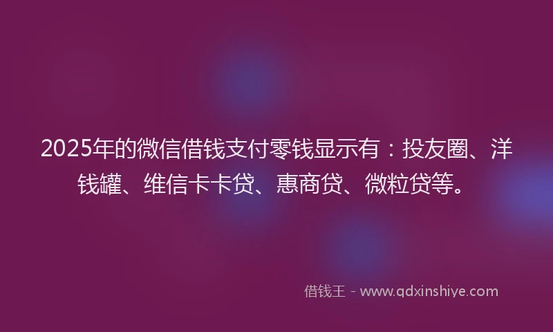 2025年的微信借钱支付零钱显示有：投友圈、洋钱罐、维信卡卡贷、惠商贷、微粒贷等。