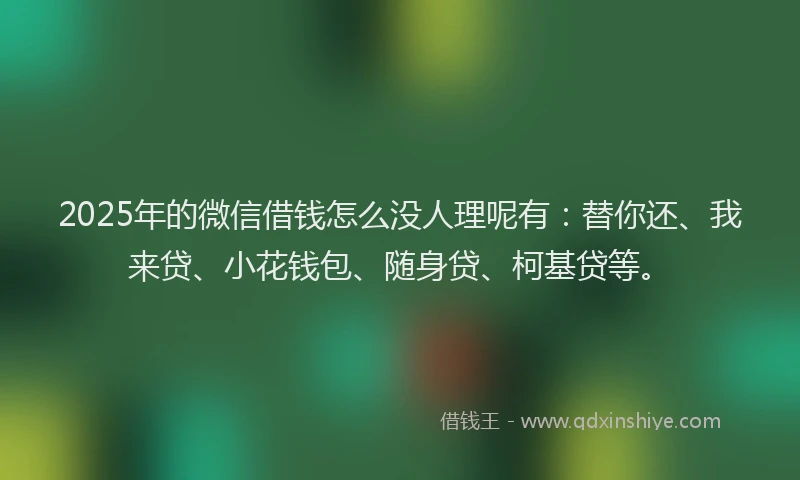 2025年的微信借钱怎么没人理呢有：替你还、我来贷、小花钱包、随身贷、柯基贷等。