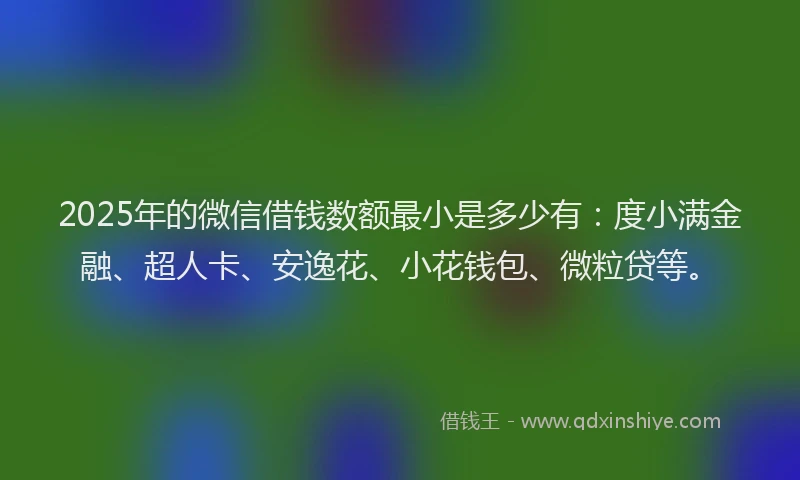 2025年的微信借钱数额最小是多少有：度小满金融、超人卡、安逸花、小花钱包、微粒贷等。