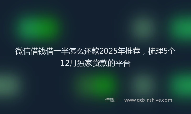 微信借钱借一半怎么还款2025年推荐，梳理5个12月独家贷款的平台