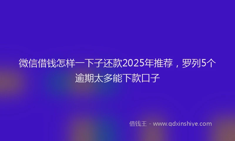 微信借钱怎样一下子还款2025年推荐，罗列5个逾期太多能下款口子