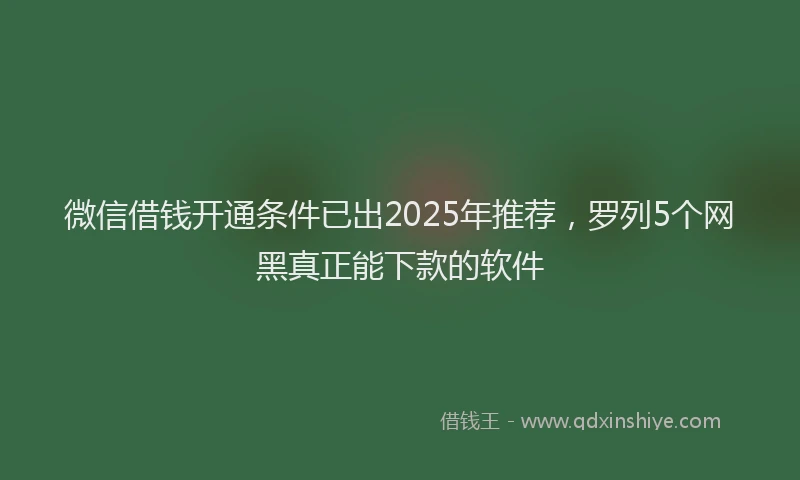 微信借钱开通条件已出2025年推荐，罗列5个网黑真正能下款的软件