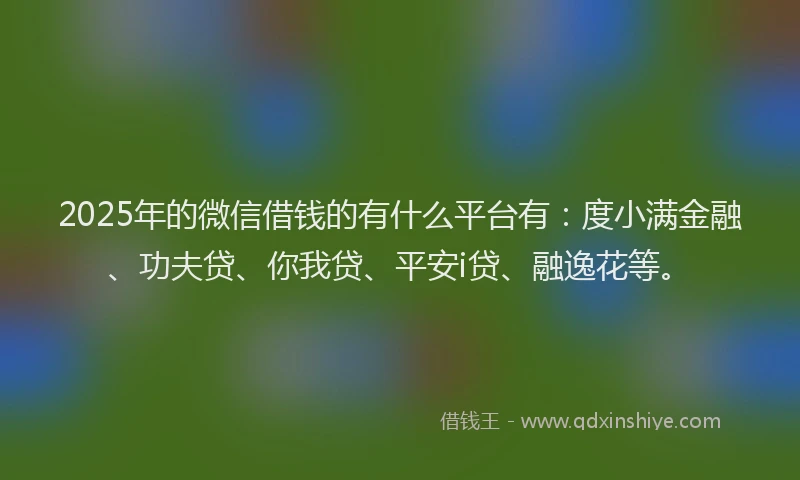 2025年的微信借钱的有什么平台有：度小满金融、功夫贷、你我贷、平安i贷、融逸花等。