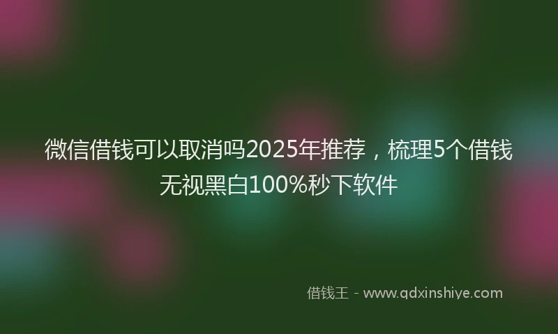 微信借钱可以取消吗2025年推荐，梳理5个借钱无视黑白100%秒下软件