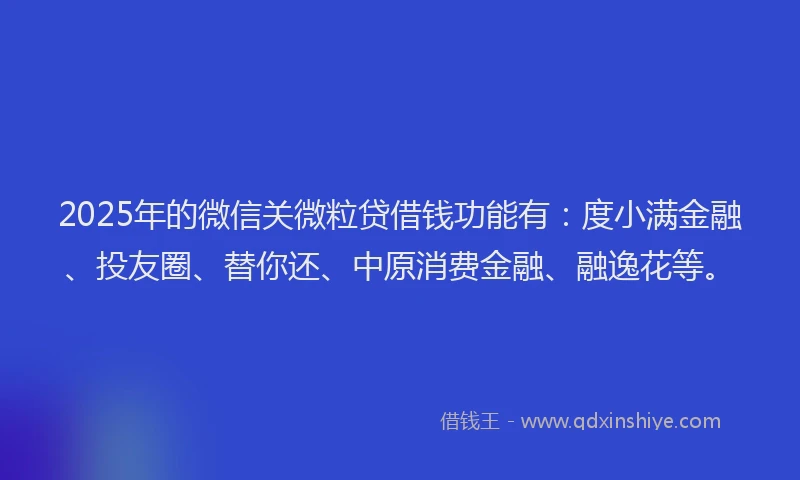 2025年的微信关微粒贷借钱功能有：度小满金融、投友圈、替你还、中原消费金融、融逸花等。