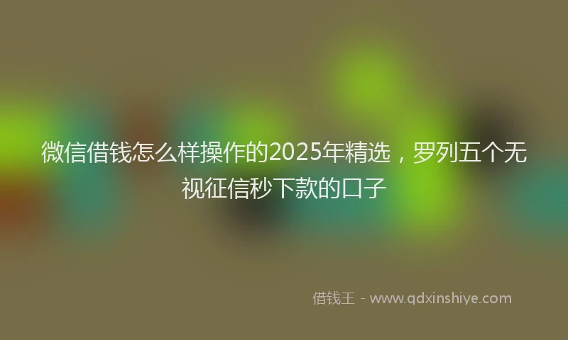 微信借钱怎么样操作的2025年精选，罗列五个无视征信秒下款的口子