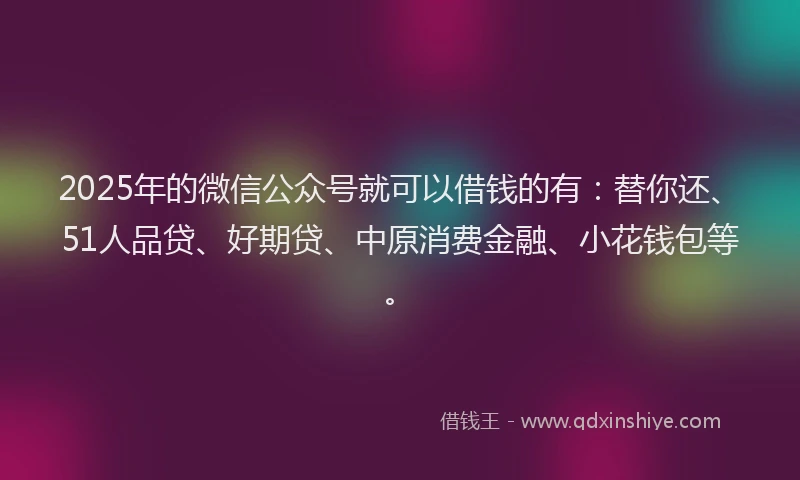 2025年的微信公众号就可以借钱的有：替你还、51人品贷、好期贷、中原消费金融、小花钱包等。