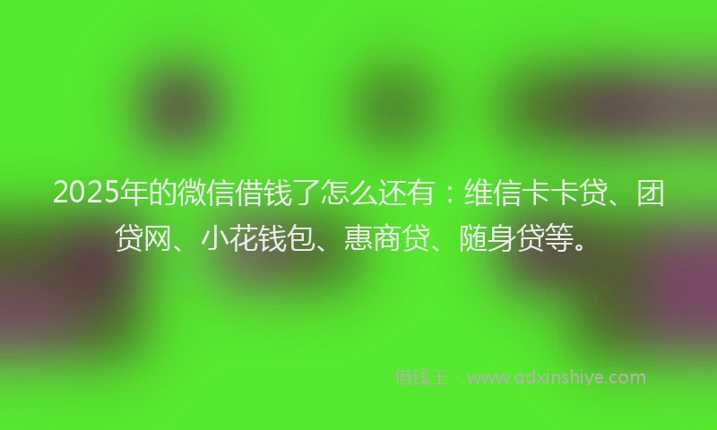 2025年的微信借钱了怎么还有：维信卡卡贷、团贷网、小花钱包、惠商贷、随身贷等。