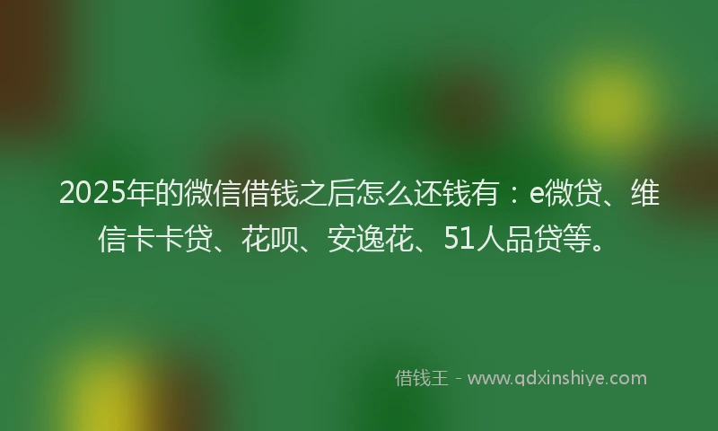 2025年的微信借钱之后怎么还钱有：e微贷、维信卡卡贷、花呗、安逸花、51人品贷等。