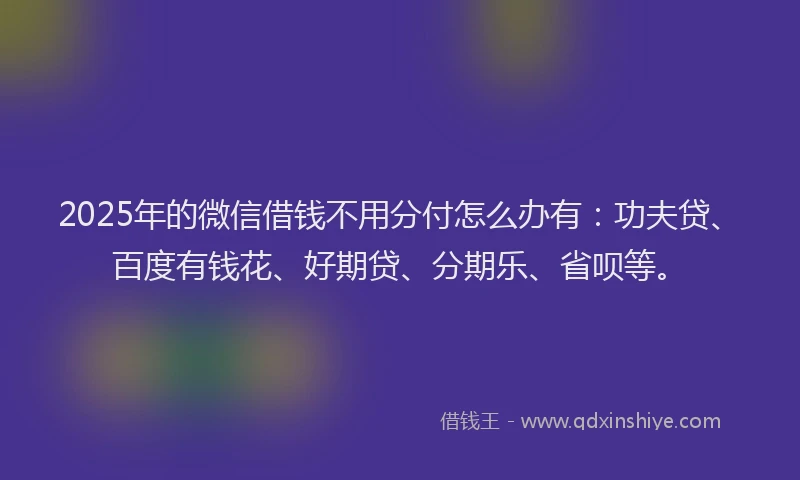 2025年的微信借钱不用分付怎么办有：功夫贷、百度有钱花、好期贷、分期乐、省呗等。