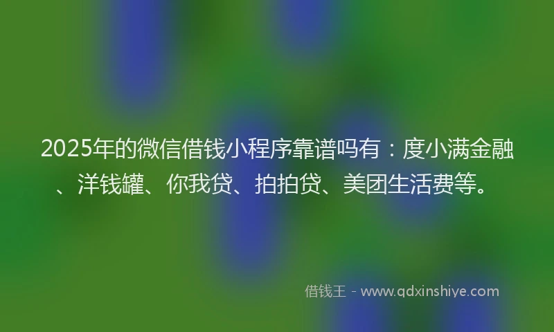 2025年的微信借钱小程序靠谱吗有：度小满金融、洋钱罐、你我贷、拍拍贷、美团生活费等。