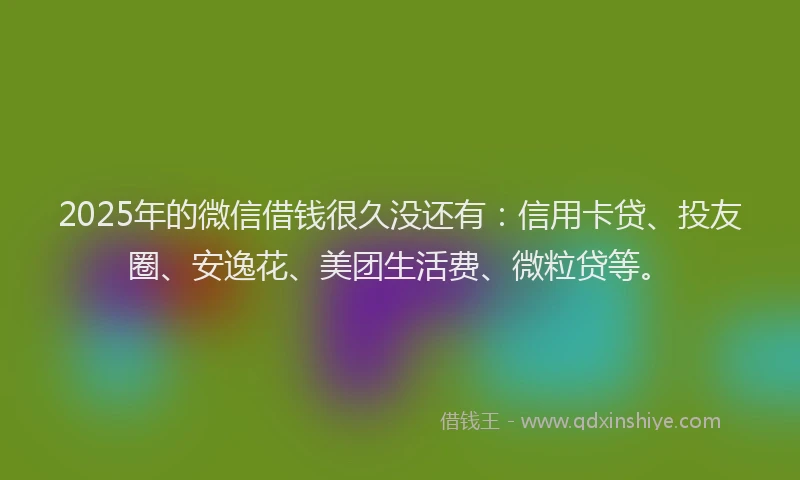 2025年的微信借钱很久没还有：信用卡贷、投友圈、安逸花、美团生活费、微粒贷等。