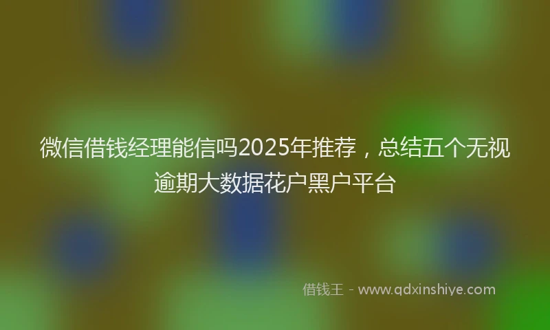 微信借钱经理能信吗2025年推荐，总结五个无视逾期大数据花户黑户平台