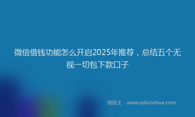 微信借钱功能怎么开启2025年推荐，总结五个无视一切包下款口子