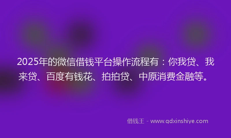 2025年的微信借钱平台操作流程有：你我贷、我来贷、百度有钱花、拍拍贷、中原消费金融等。
