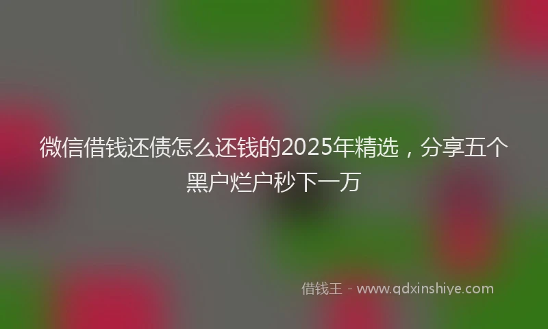 微信借钱还债怎么还钱的2025年精选，分享五个黑户烂户秒下一万