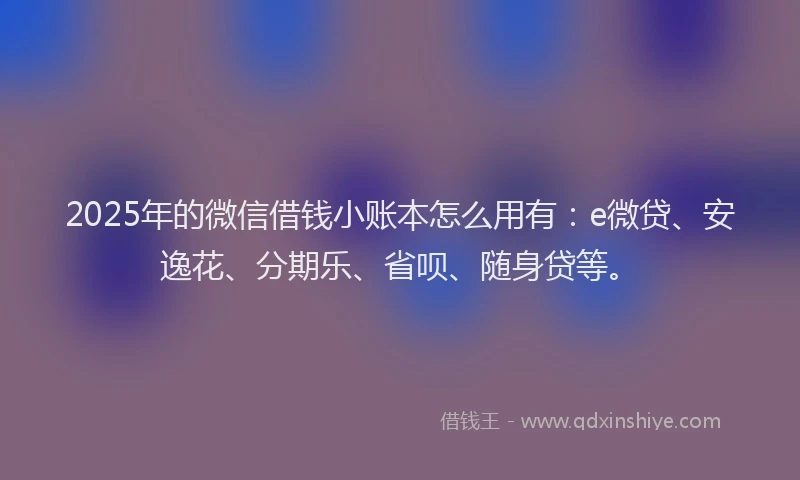 2025年的微信借钱小账本怎么用有：e微贷、安逸花、分期乐、省呗、随身贷等。